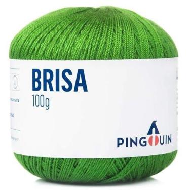 Imagem de Linha Brisa Verão 100g - Pingouin, 4638 - CAMPO