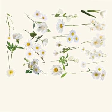 Imagem de Adesivos para scrapbooking adesivos autoadesivos para scrapbooking suprimentos diário para fazer cartões