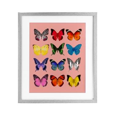 Imagem de Stupell Industries Espécie de borboleta em impressão emoldurada cinza rosa sob vidro, design por LISH Creative, 21 x 17