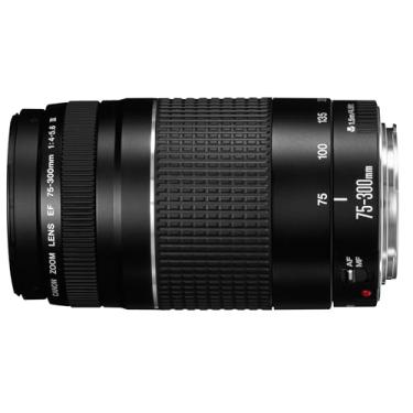 Imagem de Canon Lente teleobjetiva EF 75-300 mm f/4-5.6 III preta