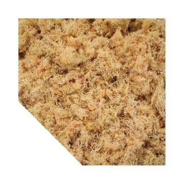 Imagem de Mini Plantas Verdes Artificiais, Musgo De Vida Eterna, Grama Falsa Par