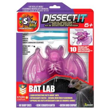 Imagem de Kit de Dissecação com Refil Lab Dissect-It - Morcego - Slimy