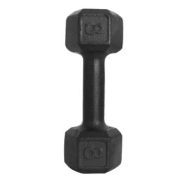Imagem de Halter de Ferro 8kg - Fundminas