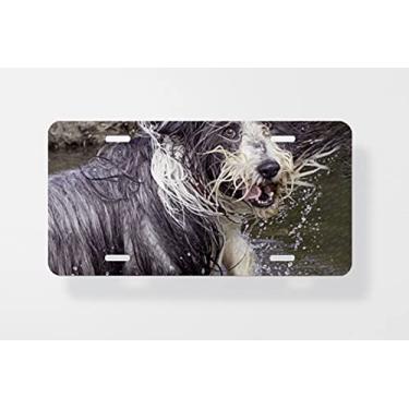 Imagem de Pôster engraçado Bearded Collie brincando na água placa de licença - Capa de placa de carro novidade para carro - Capa de moldura para placa de carro 15 x 30 cm