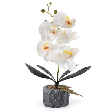 Imagem de ginojex Orquídea artificial realista planta falsa flor com vaso de cimento decoração de casa viva mesa de casamento interior mesa centro de mesa (branco alto 38 cm)