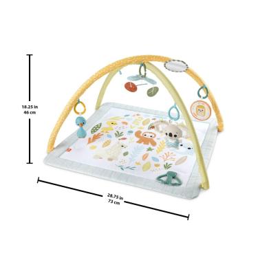 Imagem de Fisher-Price Ginásio Primeiros Sentidos - Mattel