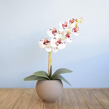 Imagem de Arranjo de Flor Artificial Orquídea Tigre de Silicone no Vaso de Vidro Fendi Fosco| Linha Permanente Formosinha