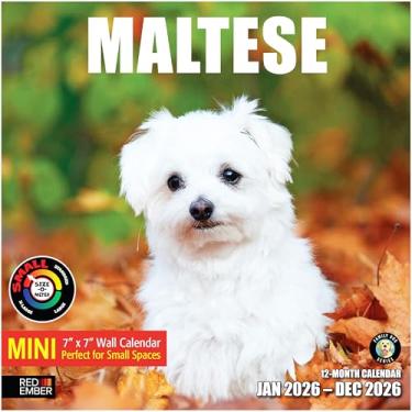 Imagem de RED EMBER Mini calendário de parede maltês 2026 12 meses | 17,8 cm x 35,5 cm aberto | Papel grosso e resistente | Presente | Calendário 2026