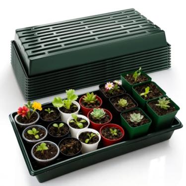 Imagem de RooTrimmer Pacote com 10 1020 bandejas sem furos, planos para iniciantes de sementes resistentes para microgreens, transplante de vasos de berçário, inserções de 72/50/32 células, bandejas