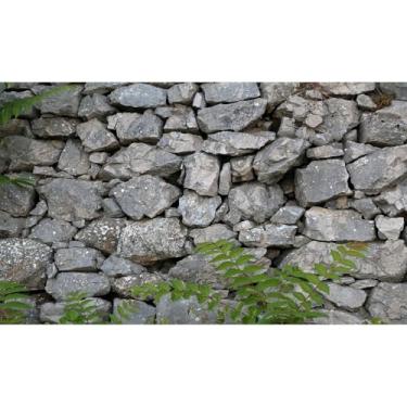 Imagem de Fundo de aquário de parede de rocha, pedra natural, fundo de tanque de peixes, parede de pedra de vidro rochoso, plantas verdes, fundos de aquário com pedras rochosas, paredes de reservatório de