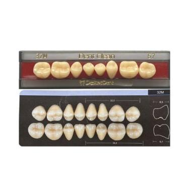 Imagem de Dente Dent Clean Posterior 32M Inferior - Imodonto