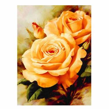 Imagem de Artesanato Pintura Diamante Diy 30X40 - ROSAS LARANJAS - PPSHOP