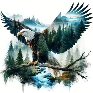 Imagem de Zythron Arte de diamante de águia, kits de arte de diamante para adultos iniciantes, pintura de diamante de águia de paisagem 5D kit de pintura de broca completa arte e artesanato para decoração de