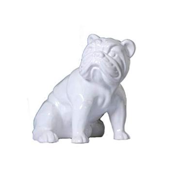 Imagem de Cachorro Branco Sarquis Samara Branco