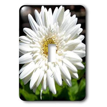 Imagem de 3dRose lsp_29221_1 Interruptor alternante de flores margaridas gerbera branca, multicolorido