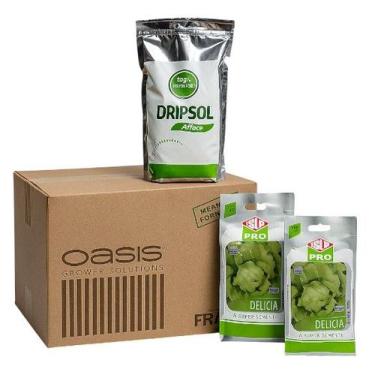 Imagem de Kit Hidroponia Espuma Fenólica 345 Células + Fertilizante 750g + 84g A