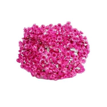 Imagem de SEMPRE VIVAS FLORZINHAS DESIDRATADAS PARA LEMBRANCINHAS ARRANJOS DE MESA CASAMENTOS MAÇO ORGANIZADO(ROSA MÉDIO)