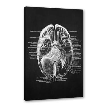 Imagem de Fundo preto anatomia humana arte médica impressões em tela imagens esqueleto músculo pôster vintage educação pintura arte decoração de parede (SKU8,20.3x30.5 cm = (20x30cm), emoldurado (tela embalada