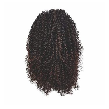 Imagem de Aplique Coque Afro Puff Fibra Sintética P10 Cor:#T1B/33