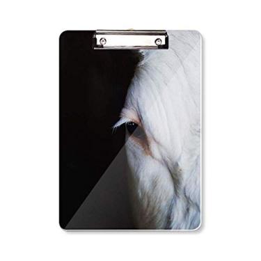 Imagem de Organismo Terrestre Animal Fotografia Prancheta Pasta Bloco de Escrita Placa de Fundo A4