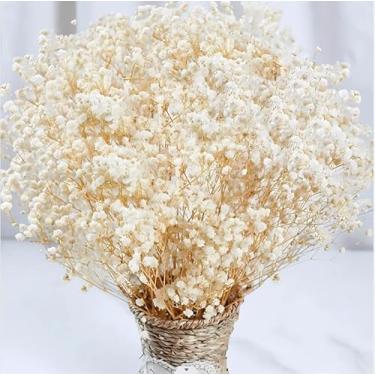 Imagem de Mais de 4000 flores secas para bebês – buquê de flores secas branco marfim de 43 cm, ramos de Gypsophila 100% naturais para enchimento de vasos, casamento, mesa central, decoração de casa, grinalda