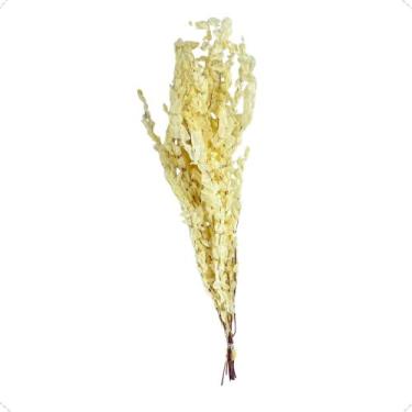 Imagem de Buquê Eucalipto De Flor De Corte Desidratada Alvejado Seco Decoração -