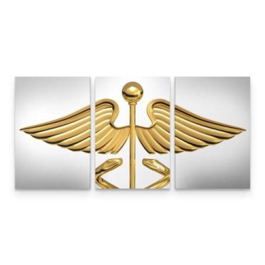 Imagem de Quadro Medicina Contabilidade Caduceu Dourado - Loja Wall Frame
