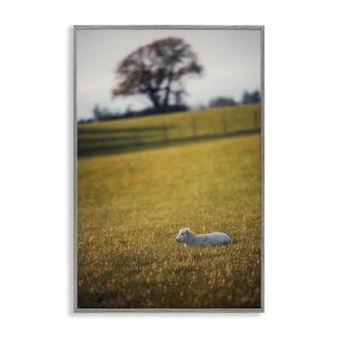 Imagem de Stupell Industries Lamb in Lush Farmland Gray Framed Giclee Wall Art Design por Thomas Tepstad Berge, 20 x 30