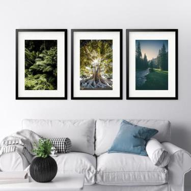 Imagem de Kit 3 Quadros Grandes Árvores - 60x48cm - Quadros On-line, Moldura Pre