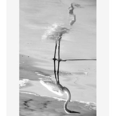 Imagem de Silêncio Infinito 12 - Amazart