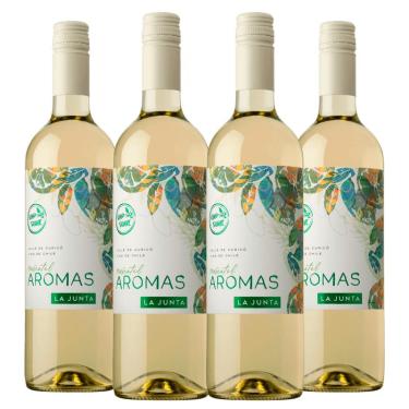 Imagem de Kit 4 Vinhos Moscatel Suave