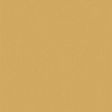 Imagem de Saco Metalizado 35X55CM Ouro 35X53CM. - Gala