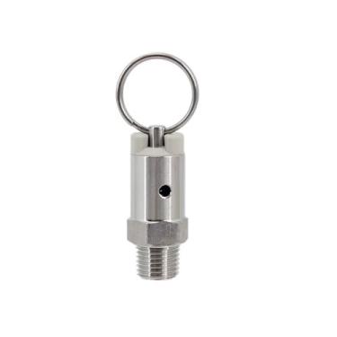 Imagem de Válvula De Alívio De Pressão (PRV) Com NPT Macho De 1/4" Em Aço Inoxidável 304, Peças Para Barril De Cerveja Caseira, Componente Para Barril Faça Você Mesmo(100psi)