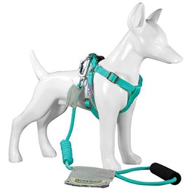 Imagem de Peitoral e Guia Para Cachorro Au Light Blue