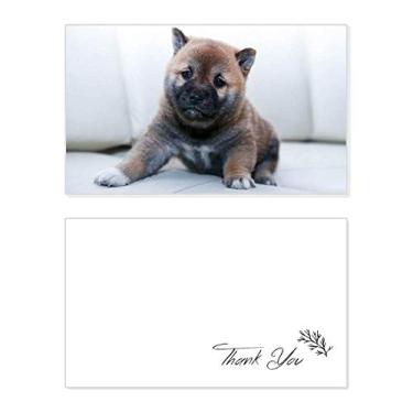 Imagem de Pippy Dog Pet Animal Linda Imagem Cartão de Agradecimento Aniversário Aniversário Recebimento Casamento