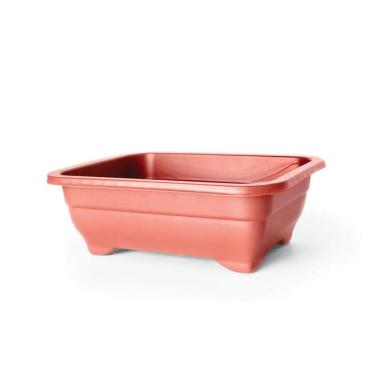 Imagem de Vaso para Cultivo de Bonsai Mini Nutriplan