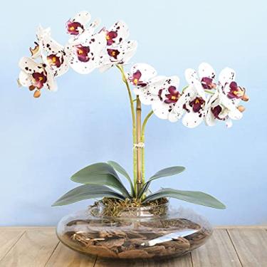 Imagem de Arranjo com Duas Orquídeas Artificiais Tigre no Vaso de Vidro Transparente