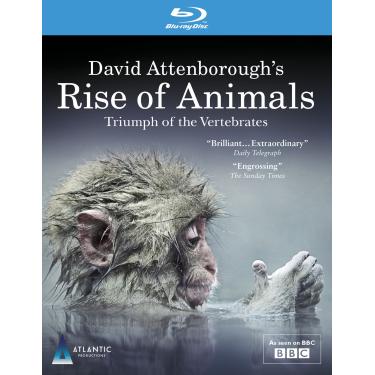Imagem de David Attenborough's Rise of Animals: Triumph of T [Blu-ray]