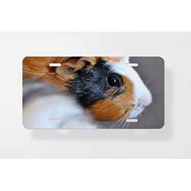 Imagem de Capa para placa de carro Porquinho da Guiné 2 – Capa para placa de carro – Capa para moldura de placa de carro 15 x 30 cm