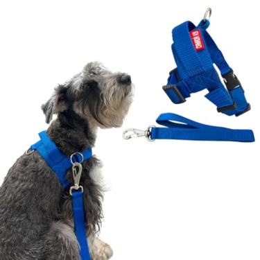 Imagem de Coleira Peitoral Anti-puxão com Guia para Cão de Pequeno Porte - Canadá K9 (azul royal)