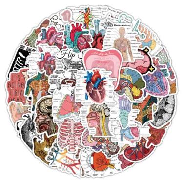 Imagem de Adesivos, anatomia, diagrama de órgão humano, à prova d'água x50 - yiw