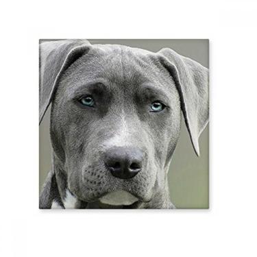 Imagem de Linda imagem de animal de estimação de cachorro com azulejo de cerâmica brilhante decalque de pedra adornada de tijolo esmaltado