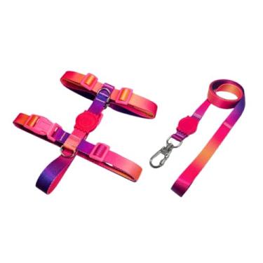 Imagem de Coleira Peitoral H Anti Puxão e Guia 1,10m para Cachorro Varias Estampas(Roxo e Laranja,P)