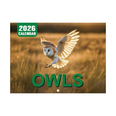 Imagem de Calendário de parede de coruja 2026-2026, calendário de parede, 12 meses, ilustrações temáticas de coruja, suprimentos de escritório, acessórios de planejamento para estúdio, escola, sala de aula