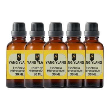 Imagem de Super Kit 5 Essências A Base Água Hidrossolúvel 30ml Difusor - Nattuar