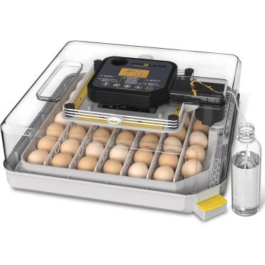 Imagem de Incubadora para ovos para incubação, incubadora de 48 ovos com rotação automática de ovos e controle de temperatura de umidade, aplicador de ovos, incubadora de frango para patos/codornizes/ganso