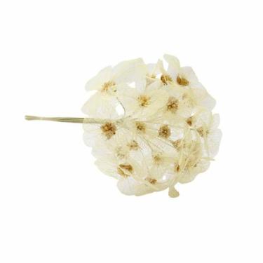 Imagem de Moedinha no Espeta Rendada - Pense Flores