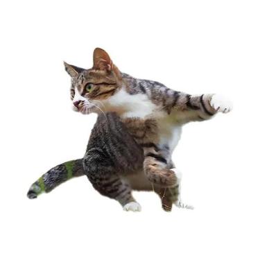 Imagem de Calendário De Parede Pooping Dogs 2026 Criativo: Planejador Diário, Se