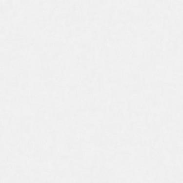 Imagem de Papel De Parede Adi Tare 2 Textura Bege Ad200001r