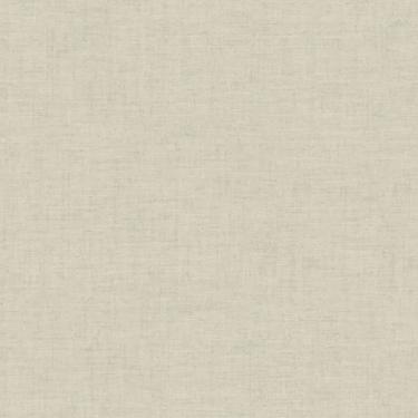 Imagem de Papel De Parede Tissé Textura Verde 25435